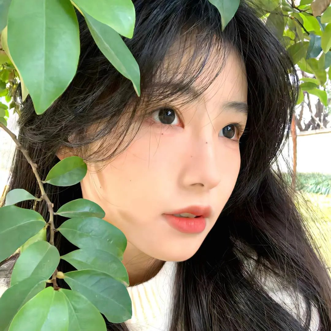 蛋糕合唱团